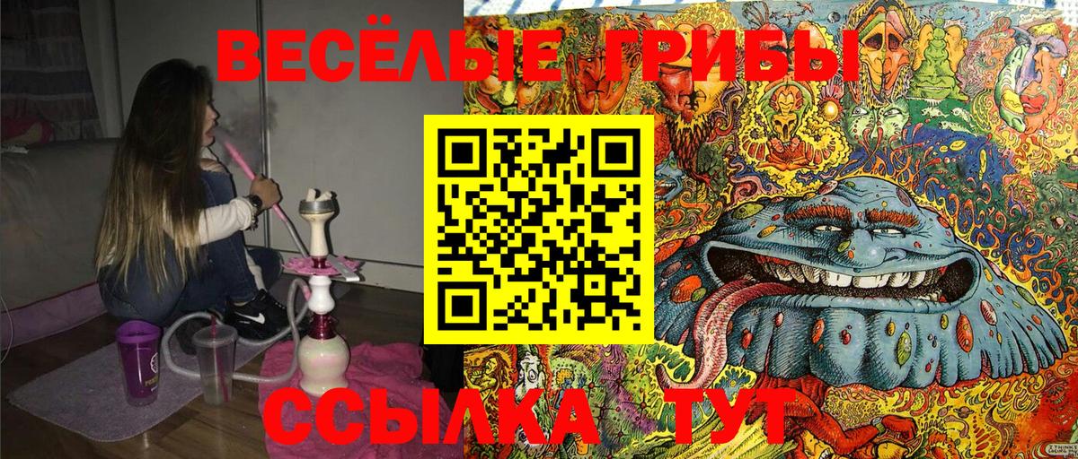 Псилоцибиновые грибы GOLDEN TEACHER Бугуруслан