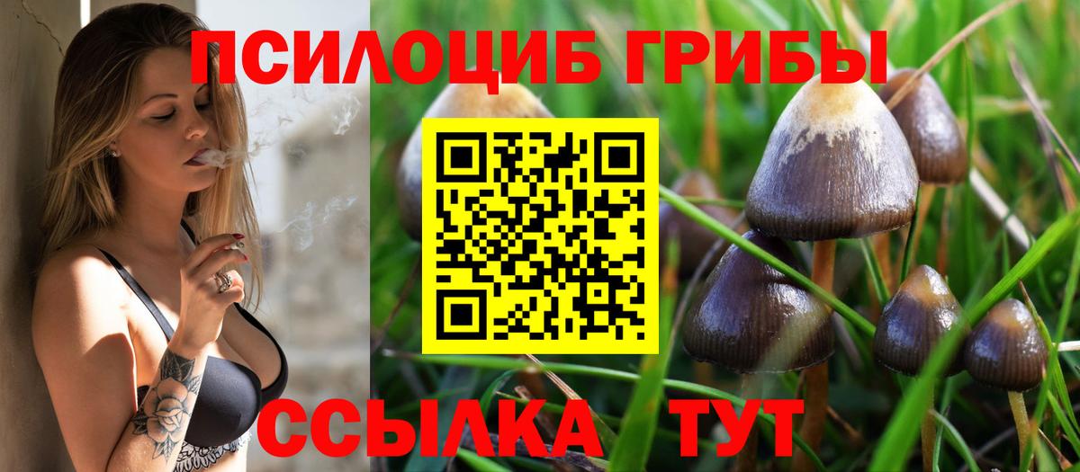 Псилоцибиновые грибы Psilocybine cubensis  Вход с VPN  Бугуруслан 